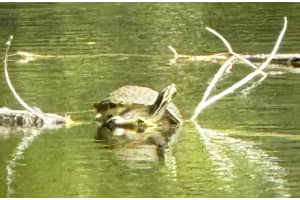 3760 Moss Pointe Circle, Lake Worth, FL 33467 Sold 03/26/24