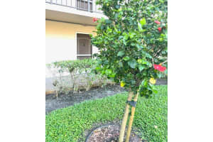 6100 NW 2nd Avenue 123, Boca Raton, FL 33487 Sold 05/31/24
