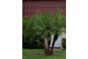 836 Salem Lane, Lake Worth, FL 33467 Sold 01/17/25