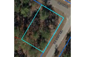 Lot1 Blk87 NE 7th Pl Place NE, Williston, FL 32696 - MLS#R10970996