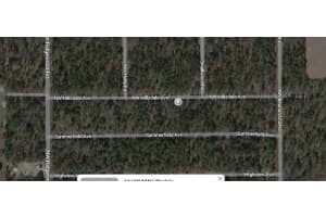 24690 NW Hillsdale Avenue, Dunnellon, FL 34431 Sold 12/13/24