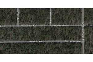 24690 NW Hillsdale Avenue, Dunnellon, FL 34431 Sold 12/13/24