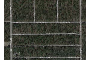 24690 NW Hillsdale Avenue, Dunnellon, FL 34431 Sold 12/13/24