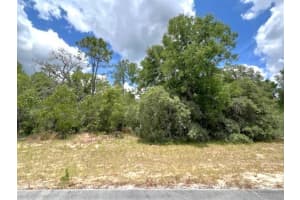 Tbd SW 138 Lane, Dunnellon, FL 34432 Sold 05/21/25