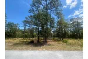 0 NW Tree Top, Dunnellon, FL 34431 Sold 02/11/25