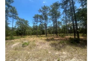 0 NW Tree Top, Dunnellon, FL 34431 Sold 02/11/25