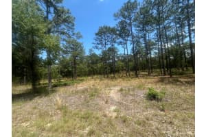 0 NW Tree Top, Dunnellon, FL 34431 Sold 02/11/25