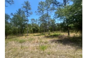 0 NW Tree Top, Dunnellon, FL 34431 Sold 02/11/25