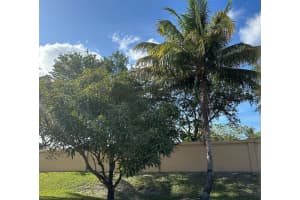 191 Catania Way, Royal Palm Beach, FL 33411 Sold 07/10/24