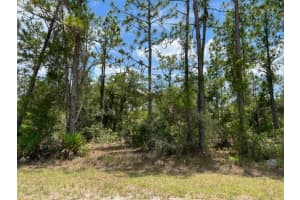 603 Orchid Drive, Indian Lake Estates, FL 33855 Sold 11/08/24