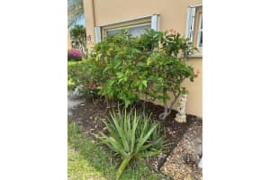 2182 NE 1st Way NE 101, Boynton Beach, FL 33435 Sold 10/29/24