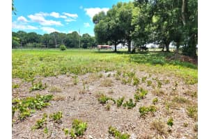 7877 NW 90th Court, Okeechobee, FL 34972 Sold 02/25/25