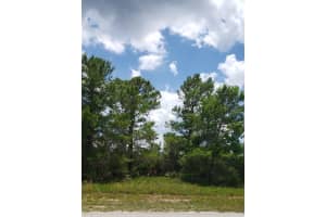 721 Lincoln Road NE, Lake Placid, FL 33852 Sold 02/28/25