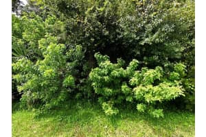 00 Maravilla Boulevard, Fort Pierce, FL 34982 Sold 04/02/26