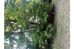 8874 W White Dogwood Drive, Homosassa, FL 34448 - MLS#R10998814
