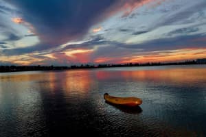 110 Lake Emerald Drive 102, Oakland Park, FL 33309 Sold 03/25/25