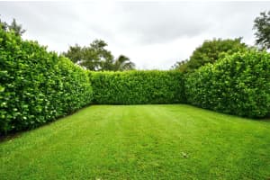 379 Belle Grove Lane, Royal Palm Beach, FL 33411 Sold 11/01/24