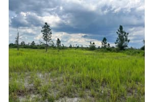 0 Pinnata Drive, Lake Wales, FL 33898 - MLS#R11003048