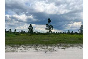0 Pinnata Drive, Lake Wales, FL 33898 Sold 02/27/25