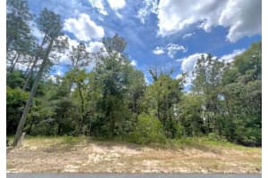 Tbd SW 134 Street, Ocala, FL 34473 Sold 12/20/24