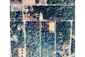 0 SW 156th Court, Ocala, FL 34481 Sold 12/20/24