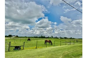 28210 NE 48th Avenue, Okeechobee, FL 34972 Sold 10/25/24