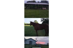 19989 NW 248th Street, Okeechobee, FL 34972 Sold 02/28/25