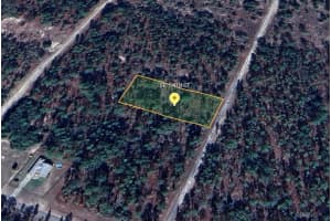 0 SW 134th Avenue, Dunnellon, FL 34432 Sold 09/24/24
