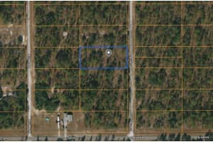 0 SW 134th Avenue, Dunnellon, FL 34432 Sold 09/24/24