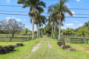 12440 Tangerine Boulevard, West Palm Beach, FL 33412 Sold 09/13/24