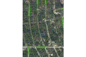 211 Sunflower Drive, Lake Placid, FL 33852 Sold 06/30/25