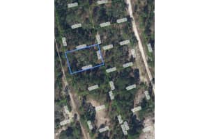 211 Sunflower Drive, Lake Placid, FL 33852 Sold 06/30/25