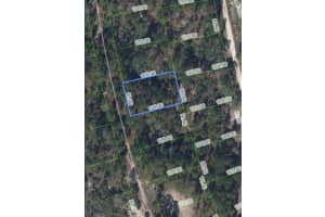 213 Sunflower Avenue, Lake Placid, FL 33852 Sold 06/30/25