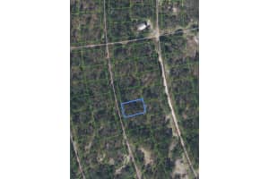 213 Sunflower Avenue, Lake Placid, FL 33852 Sold 06/30/25