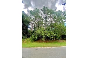 1661 Sardinia Street SE, Palm Bay, FL 32909 - MLS#R11013271