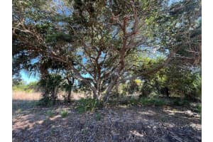 15213 NW 314th Street, Okeechobee, FL 34972 Sold 12/19/24