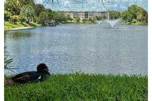 719 Lori Drive 203, Palm Springs, FL 33461 Sold 09/24/24