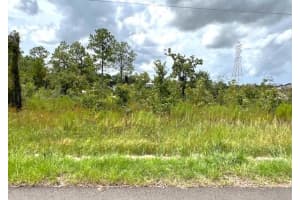 Tbd Penn State Road, Weeki Wachee, FL 34614 Sold 01/17/25