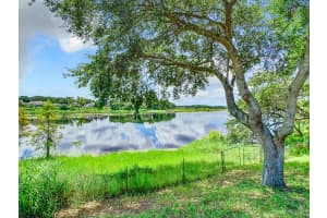 6416 Lynn Road, Orlando, FL 32810 Sold 10/22/24