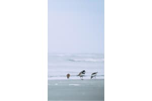 1422 Meadows Circle, Boynton Beach, FL 33436 - MLS#R11016637