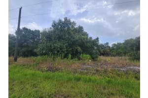 19036 NW 310th Street, Okeechobee, FL 34972 Sold 02/25/25