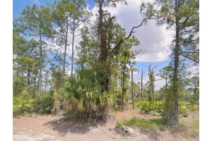 725 Bahama Avenue S, Lehigh Acres, FL 33974 Sold 09/27/24