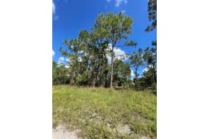 725 Bahama Avenue S, Lehigh Acres, FL 33974 Sold 09/27/24