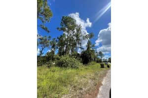 725 Bahama Avenue S, Lehigh Acres, FL 33974 Sold 09/27/24
