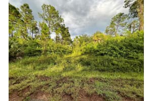 0 Brolly Street, North Port, FL 34288 Sold 10/07/24
