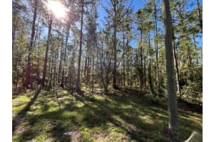 0 Magnolia Drive, Indian Lake Estates, FL 33855 Sold 11/22/24