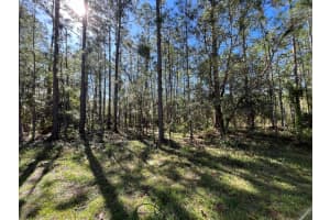 0 Magnolia Drive, Indian Lake Estates, FL 33855 Sold 11/22/24