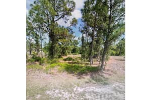 729 Bahama Avenue S, Lehigh Acres, FL 33974 Sold 09/27/24