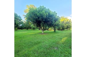 18837 92nd Lane N, The Acreage, FL 33470 Sold 03/11/25