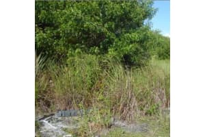 1980 Conkling Avenue SW, Palm Bay, FL 32908 - MLS#R11027615